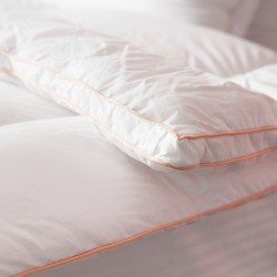 گلدن پلاس